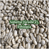 Green Coffee - Sidama Grade 2, Ethiopia