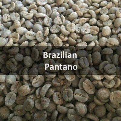 Green Brazilian Pantano
