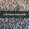 Green Guatemalan Café Pulcal