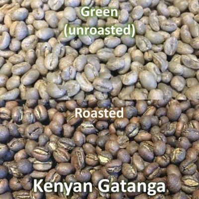Kenyan Gatanga PB green and roasted
