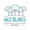 Gt Palo Blanco Logo