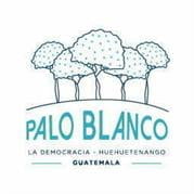 Gt Palo Blanco Logo