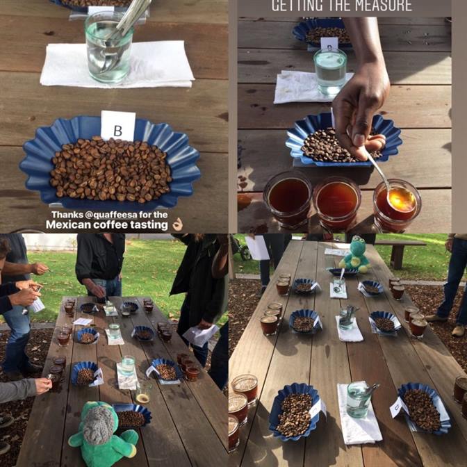 Public cupping of Mexican Coffee