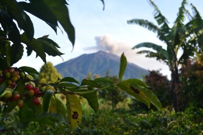 Sumatra Kerinci Volcano
