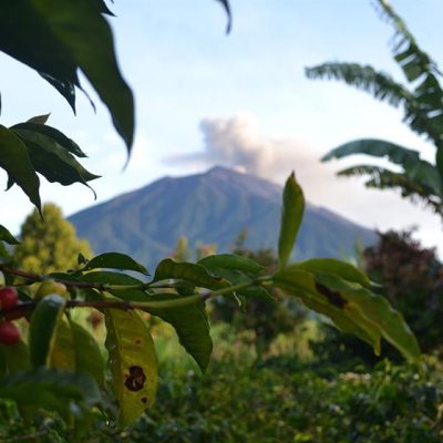 Sumatra Kerinci Volcano