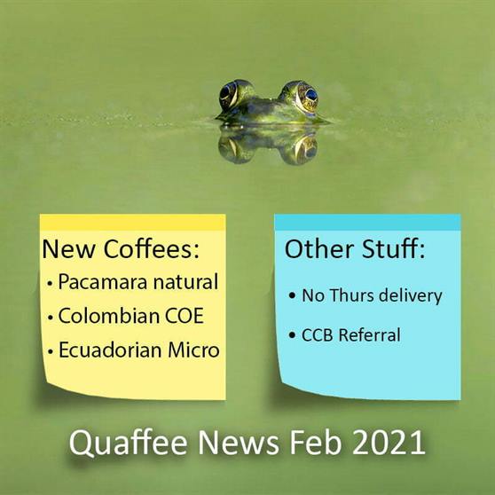 Quaffee Newsletter Feb 2021