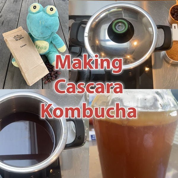 Making Kombucha with Cascara