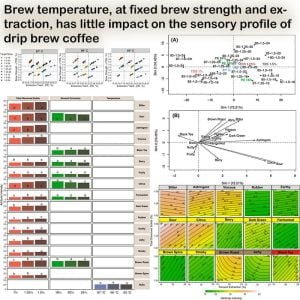 brew temperature impact on final brew