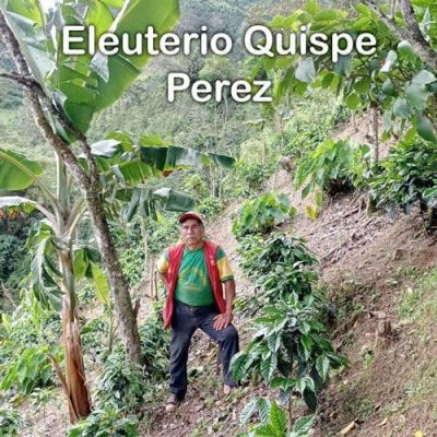 El Guayacan Eleuterio Quispe Perez