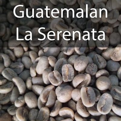 Green Guatemalan La Serenata Web
