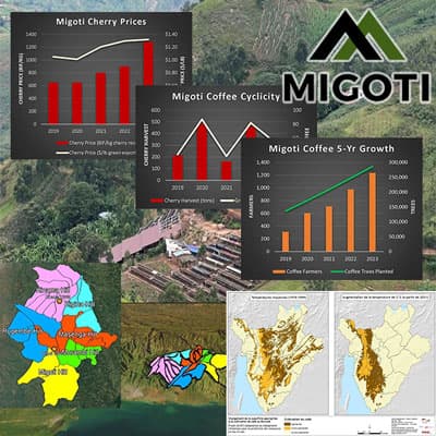 Migoti Coffee update 2023 — Coffee Season and Future Plans