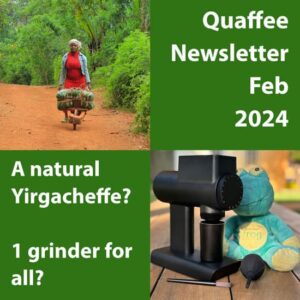 Quaffee newsletter Feb 2024: Natural Yirgacheffe ¬– 1 grinder?