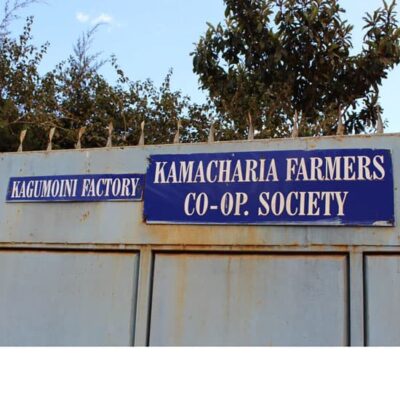 Kenya Kagumoini Factory Gate