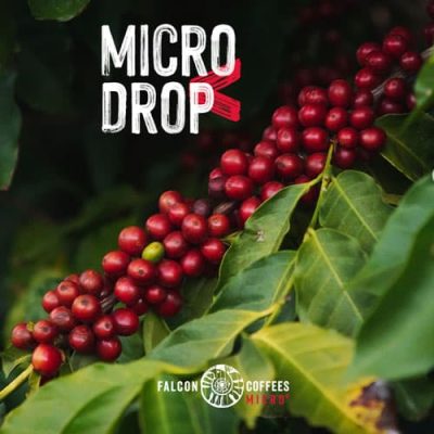 Ethiopian-Eva-Gotiti-Cherries-web