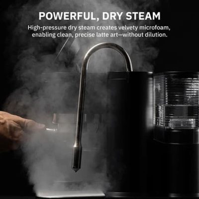 Meraki-steaming-web