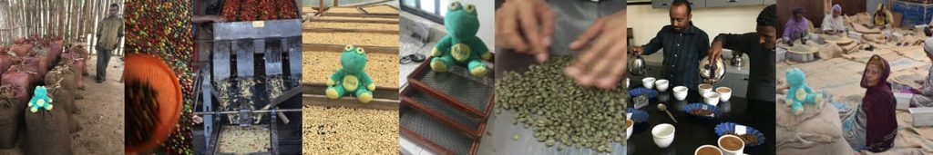 Coffee Processing Can Make a Good Coffee Great